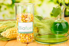 Hockenden biofuel availability